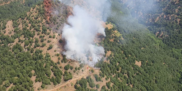 Alaşehir’de orman yangını