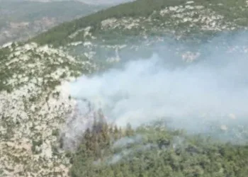 Milas’ta orman yangını