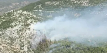 Milas’ta orman yangını