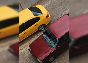 Köpeklerden kaçan çocuk son anda kurtuldu