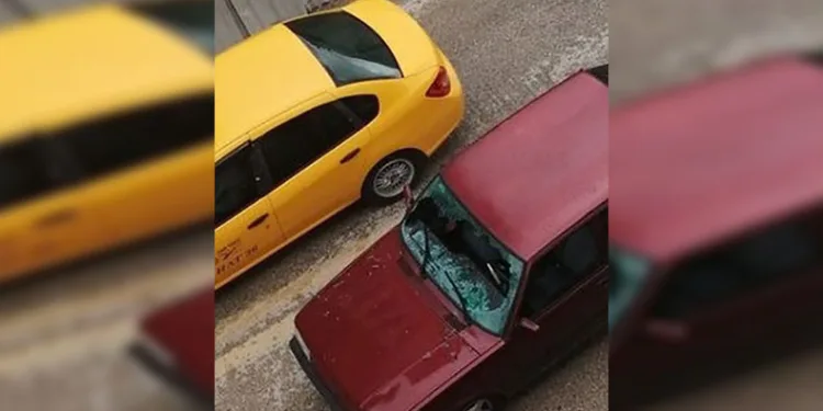 Köpeklerden kaçan çocuk son anda kurtuldu