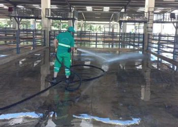 Kurban satış yerleri kaldırıldı