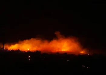 Urla’da makilik alanda korkutan yangın