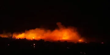 Urla’da makilik alanda korkutan yangın
