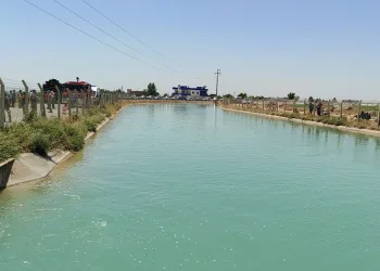 Kaybolan çocuğun cesedi bulundu