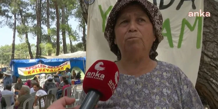 Gözümüzün önünde koca dağı bitirdiler