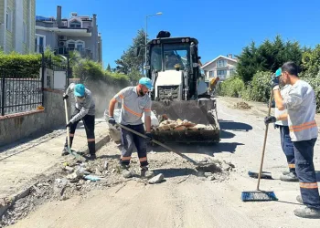 Temiz çevre, tertemiz Nilüfer