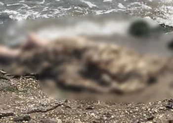 Deniz kenarında erkek cesedi bulundu