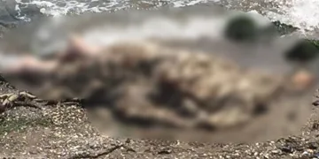Deniz kenarında erkek cesedi bulundu