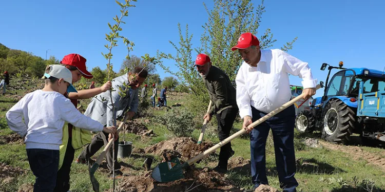 Daha Yeşil Bir Ali Dağı’na Doğru