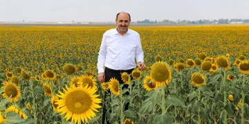“Beyaz altının” yerini “Sarı altın aldı”