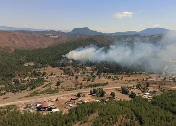 Marmaris’te iki ayrı noktada orman yangını