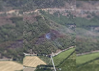 Ortaca yangını kontrol altında