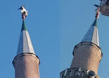 Minareye takılan leyleği itfaiye ekipleri kurtardı