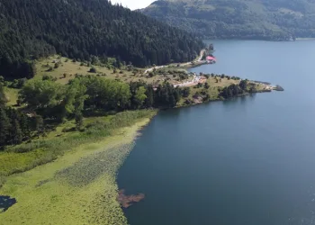 Sıcaktan bunalanların adresi doğa harikası Abant oldu