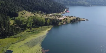 Sıcaktan bunalanların adresi doğa harikası Abant oldu