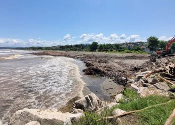 Selde sahile sürüklenen odunlar enerji olacak