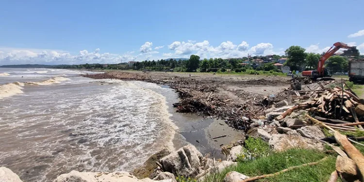 Selde sahile sürüklenen odunlar enerji olacak
