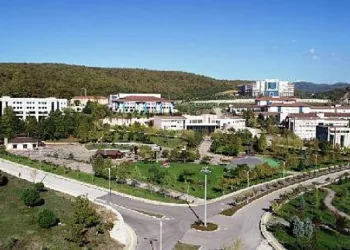 Dünyanın en iyi genç üniversiteleri