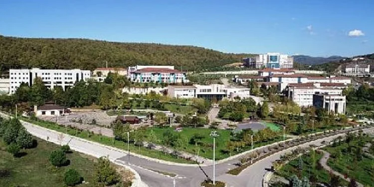 Dünyanın en iyi genç üniversiteleri