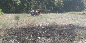 Yangın ormana sıçramadan söndürüldü