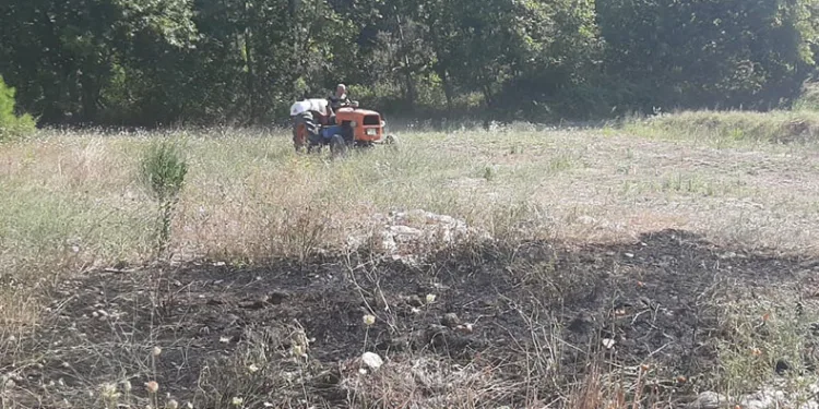 Yangın ormana sıçramadan söndürüldü