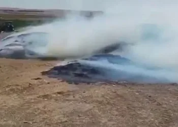 Siirt’te 50 ton mercimek samanı kül oldu