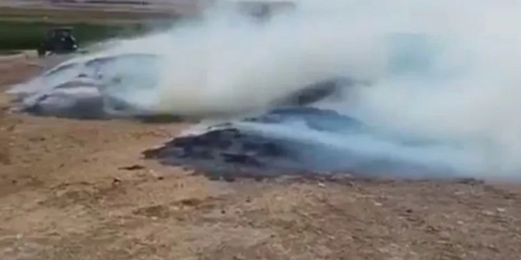 Siirt’te 50 ton mercimek samanı kül oldu
