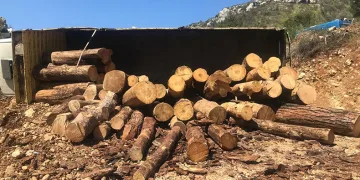 Devrilen tomruk yüklü kamyondan atlayarak kurtuldu