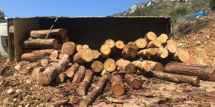 Devrilen tomruk yüklü kamyondan atlayarak kurtuldu