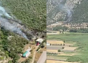 Kaş’ta orman yangını