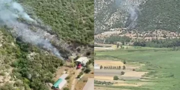 Kaş’ta orman yangını