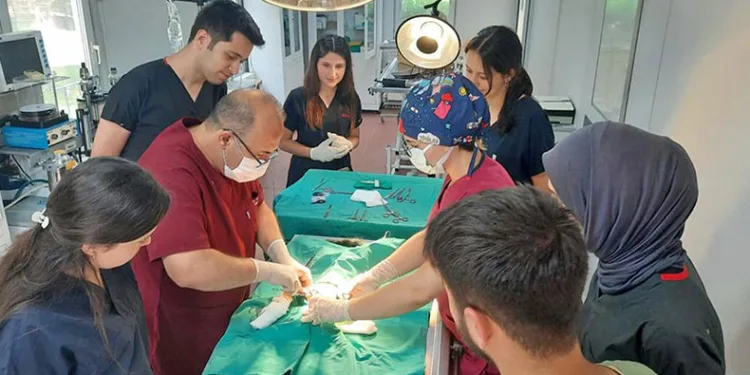 Aracın çarptığı kedi hayata tutundu