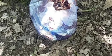 Ormanlık alan yine çöplüğe döndü
