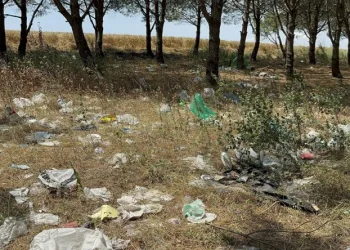 Tatilcilerden geriye kalan çöp yığını