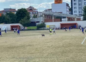 Sahaya giren köpek maçı durdurdu
