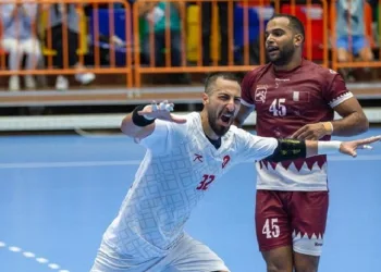 Milli Pivot, Sakarya Büyükşehir Hentbol’da