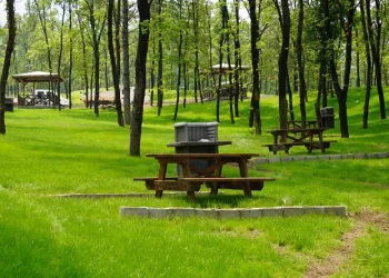 700 yıllık Osmanlı Köyü’ne devasa Orman Parkı