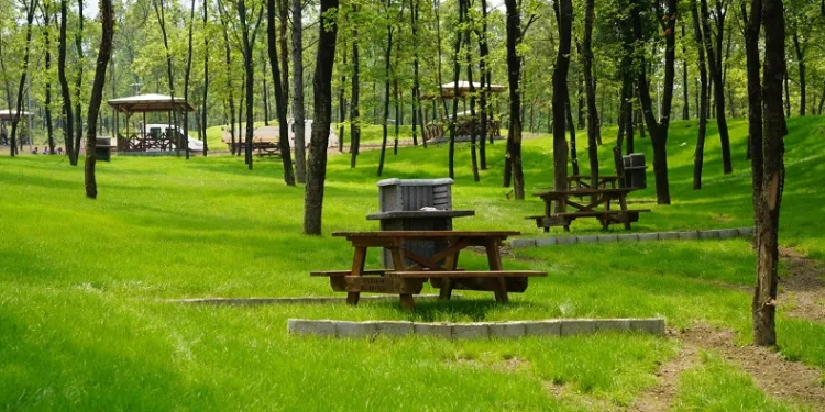 700 yıllık Osmanlı Köyü’ne devasa Orman Parkı