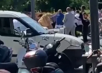 İtalyan şef Danilo Zanna restoranı önünde darp edildi