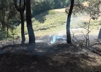 Bursa’da iki ayrı noktada çıkan yangın söndürüldü