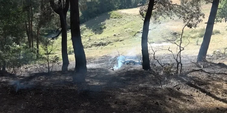 Bursa’da iki ayrı noktada çıkan yangın söndürüldü