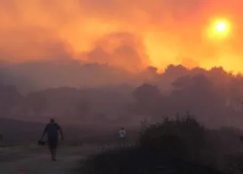 Hatay’dan sonra bir yangın da Çanakkale’de