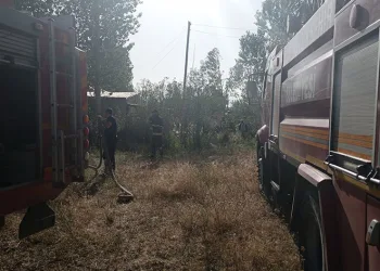 Edremit’te samanlık yangını
