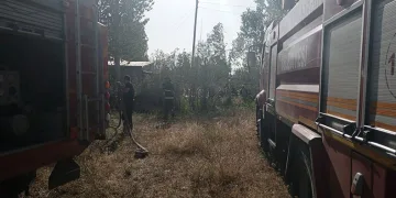 Edremit’te samanlık yangını