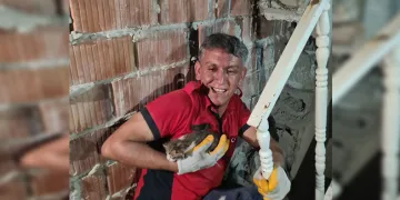 Duvar arasına sıkışan yavru kedi itfaiye tarafından kurtarıldı