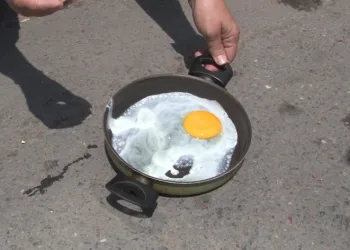 Güneşin altında yumurta