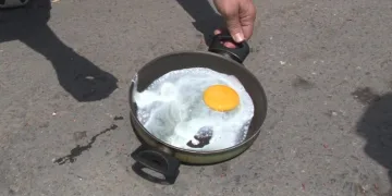 Güneşin altında yumurta