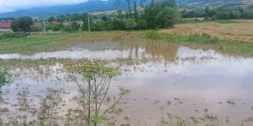 Sel felaketinin zararı tespit ediliyor