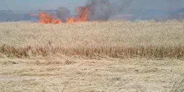 Yangını söndürmek istedi, canından oldu